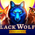 Black Wolf 2