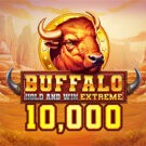 Buffalo Hold and Win Extreme 10,000