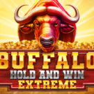 Buffalo Hold and Win Extreme