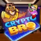Crypto Bro