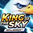 King of the Sky: Hit the Bonus
