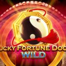 Lucky Fortune Door Wild