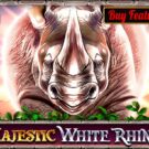 Majestic White Rhino
