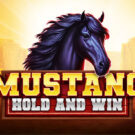 Mustang Hold and Win