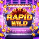 Rapid Wild