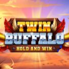 Twin Buffalo: Hold and Win