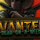 Wanted Dead or a Wild