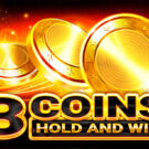 3 Coins