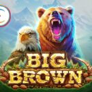 Big Brown
