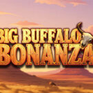 Big Buffalo Bonanza