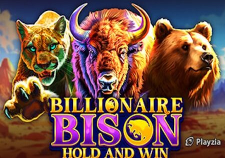 Billionaire Bison