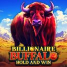 Billionaire Buffalo