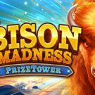 Bison Madness PrizeTower