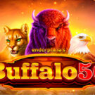 Buffalo 50