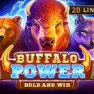 Buffalo Power: Hold and Win