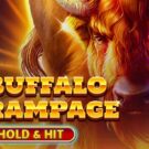 Buffalo Rampage – Hold and Hit