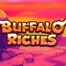 Buffalo Riches