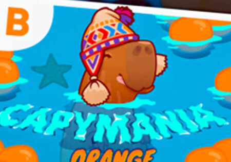 Capymania Orange
