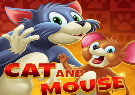 Cat and Mouse
