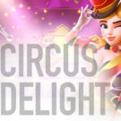 Circus Delight