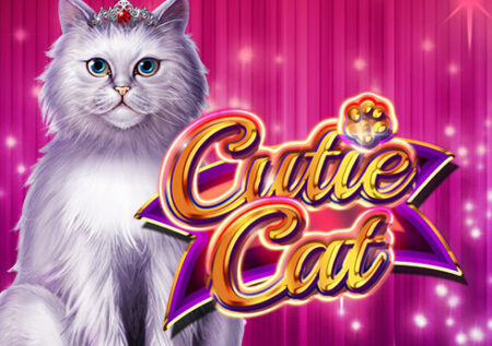 Cutie Cat
