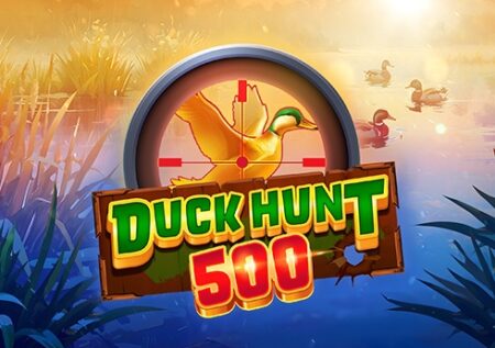 Duck Hunt 500