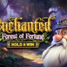 Enchanted: Forest of Fortune – Hold and Win