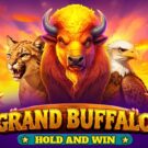 Grand Buffalo Hold and Win