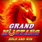 Grand Mustang