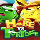Hare vs. Tortoise