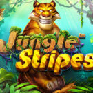 Jungle Stripes