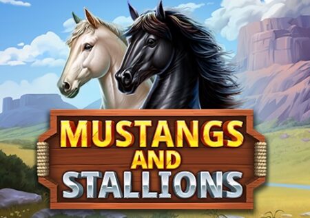 Mustangs and Stallions
