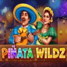 Piñata Wildz