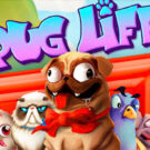 Pug Life