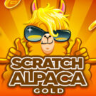 Scratch Alpaca Gold