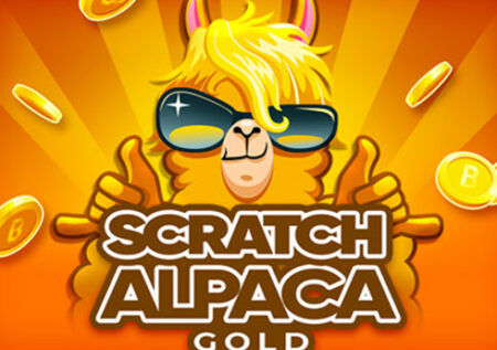 Scratch Alpaca Gold