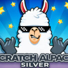 Scratch Alpaca Silver