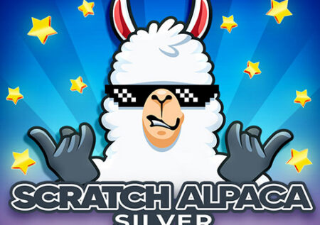 Scratch Alpaca Silver