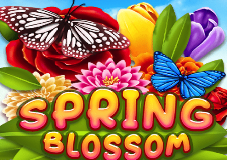Spring Blossom