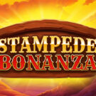 Stampede Bonanza