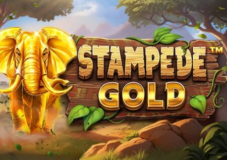 Stampede Gold