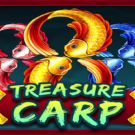 Treasure Carp