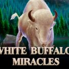 White Buffalo Miracles