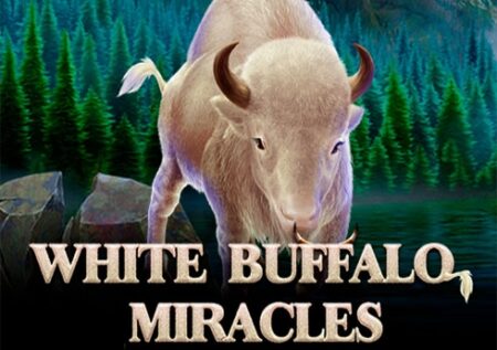 White Buffalo Miracles