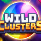 Wild Clusters