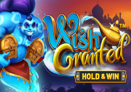 Wish Granted