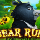Bear Run