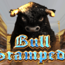 Bull Stampede