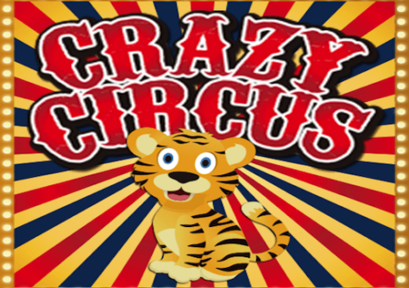 Crazy Circus