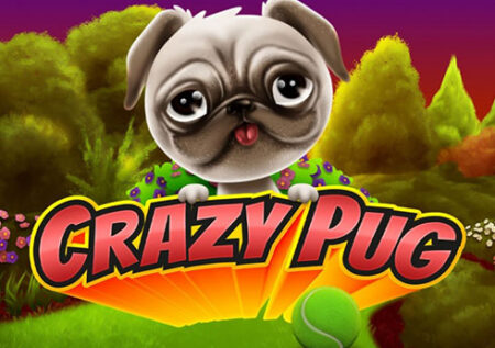 Crazy Pug